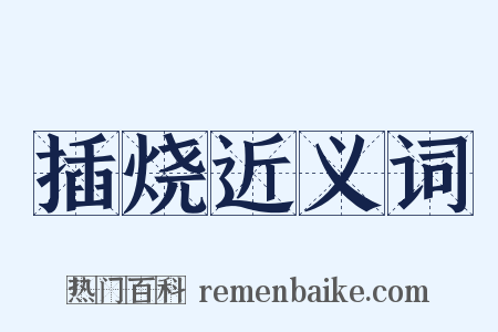 插烧近义词是什么意思的图片